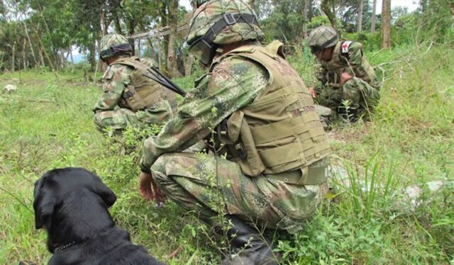 ONU alerta que unas 500 personas se encuentran confinadas en el Cauca por efrentamientos entre disidencia y ejército colombiano